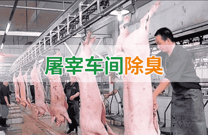 屠宰場(chǎng)臭氣影響周邊環(huán)境？解決辦法在這里-1