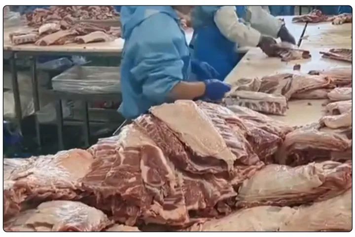 屠宰工廠惡臭影響周邊，使用除臭劑有什么注意要點(diǎn)？.jpg