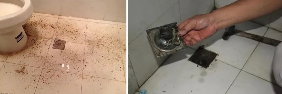 家里衛(wèi)生間老有異味，潔匠凈化教您如何解決難聞的臭味.jpg