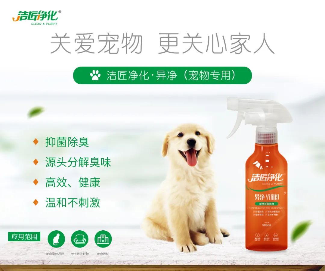 寵物氣味彌漫整個屋子，潔匠凈化教您如何除味